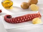 Pulpo