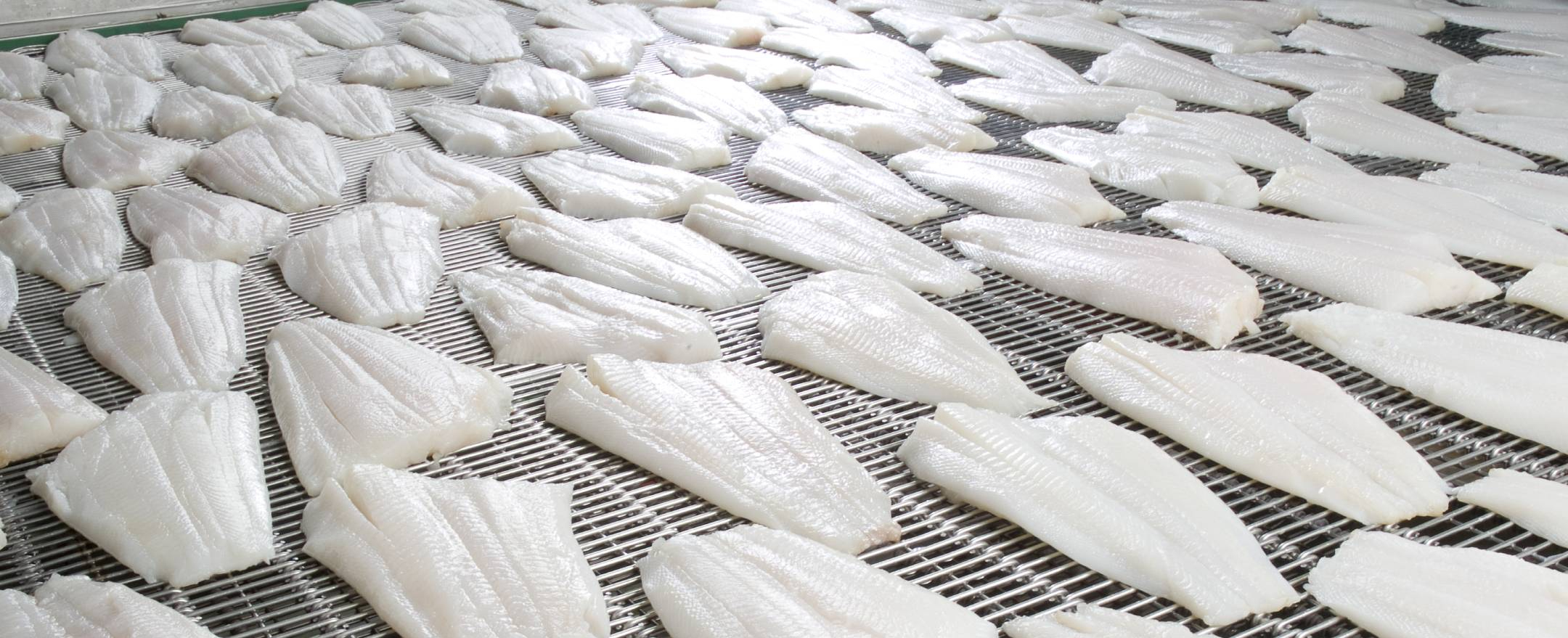 Especialistas en pescado