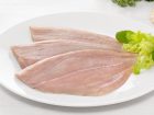 Palometa