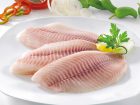 Tilapia