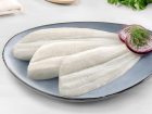 Halibut