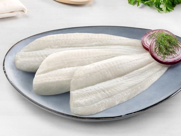 Halibut